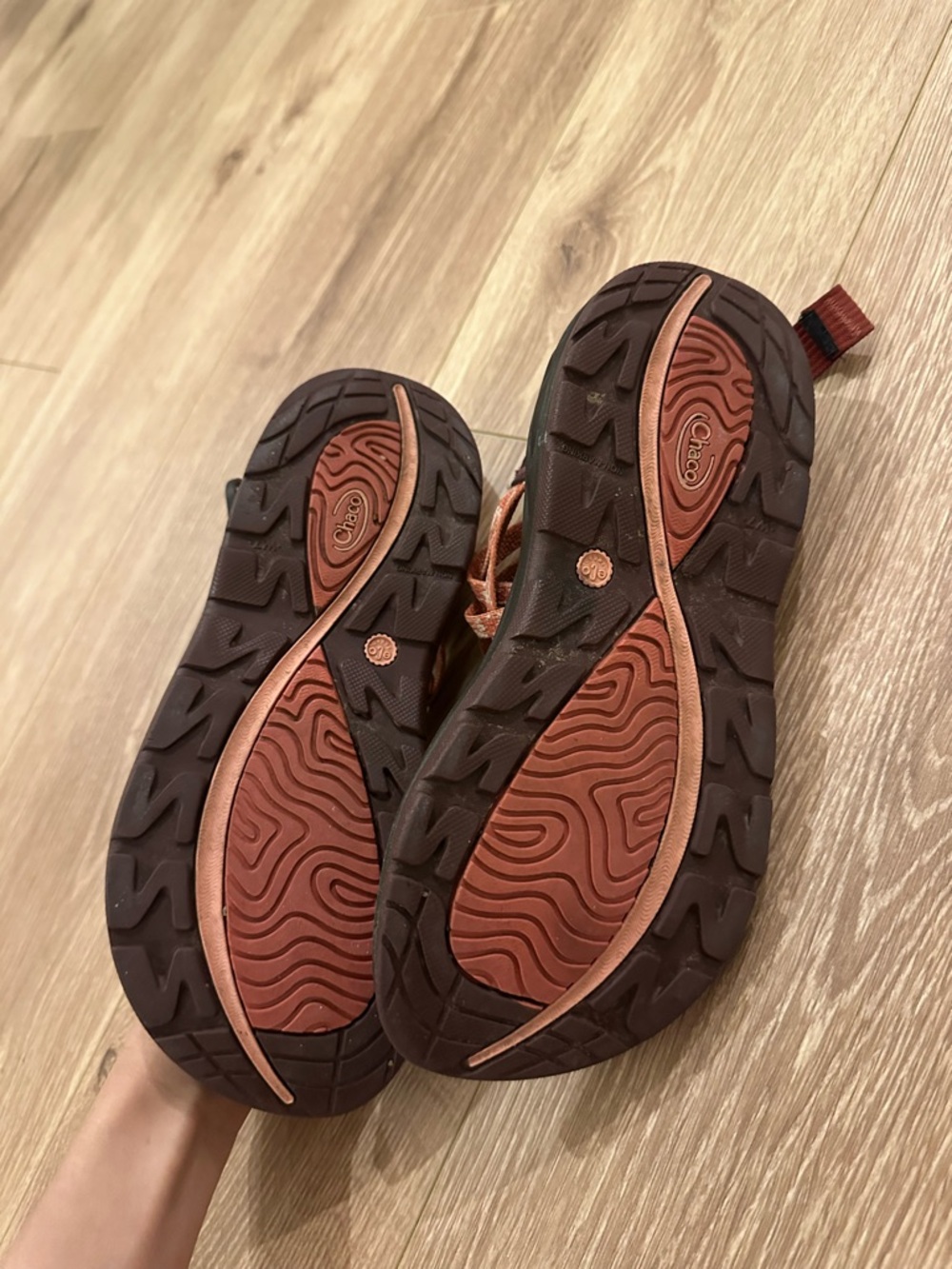 Chaco!! - Picture 3 of 3